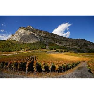 Domaine Rouvinez 2023, Nez Noir Rouge 75cl, Valais AOC  